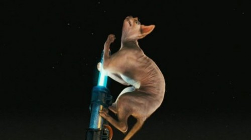 Imagem 4 do filme Como Cães e Gatos 2: A Vingança de Kitty Galore